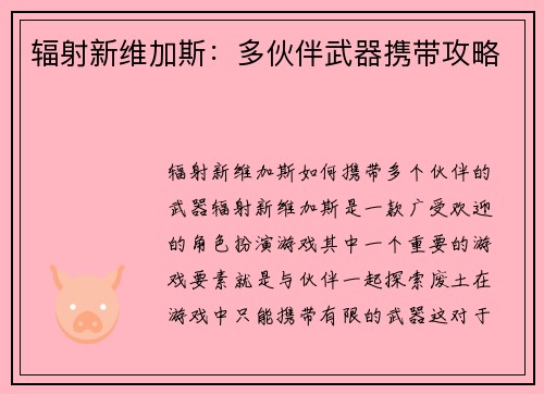 辐射新维加斯：多伙伴武器携带攻略